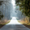 Thumbnail of new posts 085