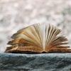 Thumbnail of new posts 036