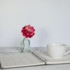 Thumbnail of new posts 151
